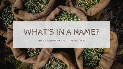 What’s in a Name? – The 3 Seasons of the Olive Harvest