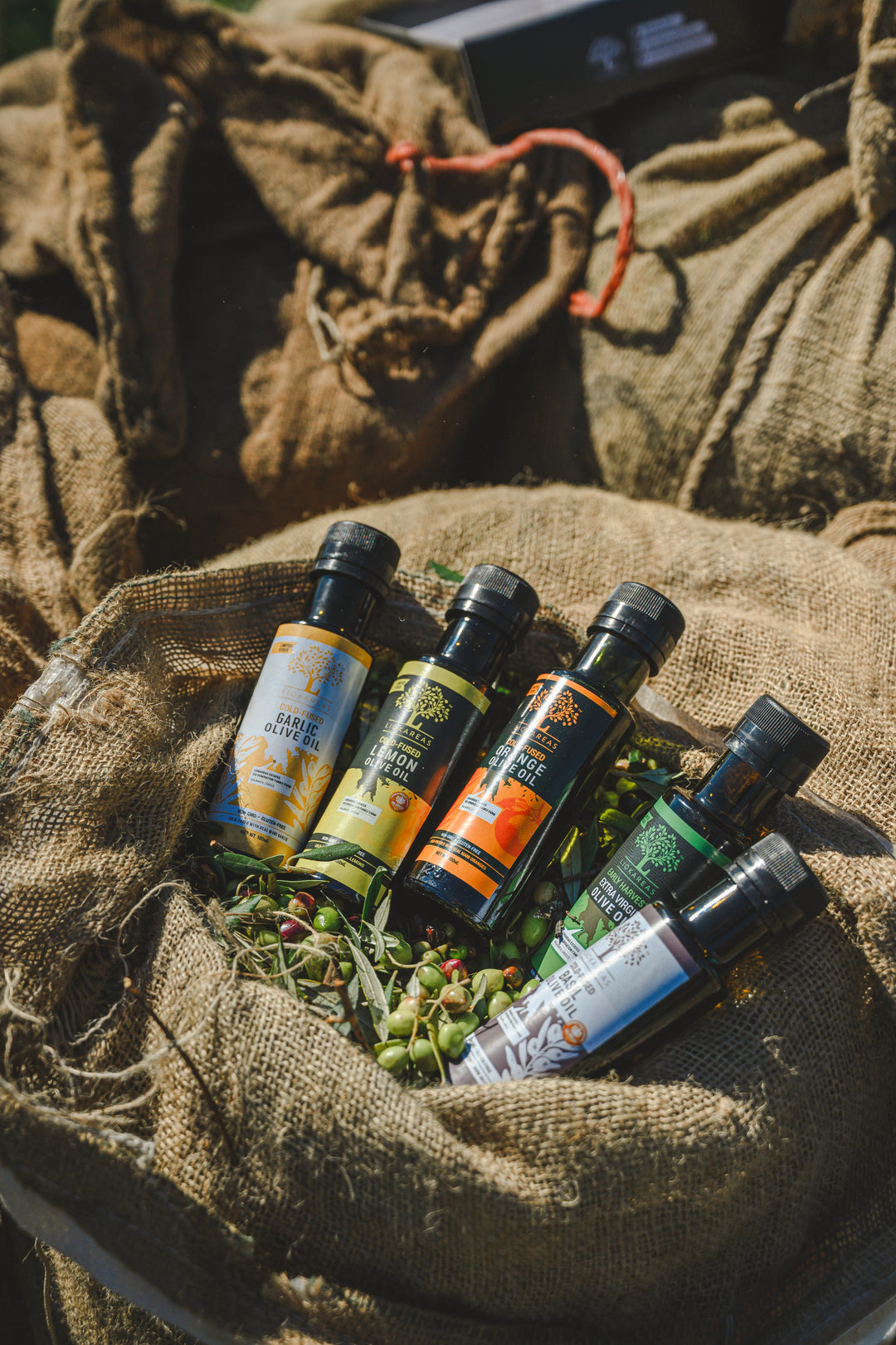 Olive Oil Variety Pack - Five 100ml Bottles (Lemon, Orange, Basil